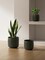 Set of 3 Ceramic Planters with Drainage Holes (Reactive Glaze Dark Olive)